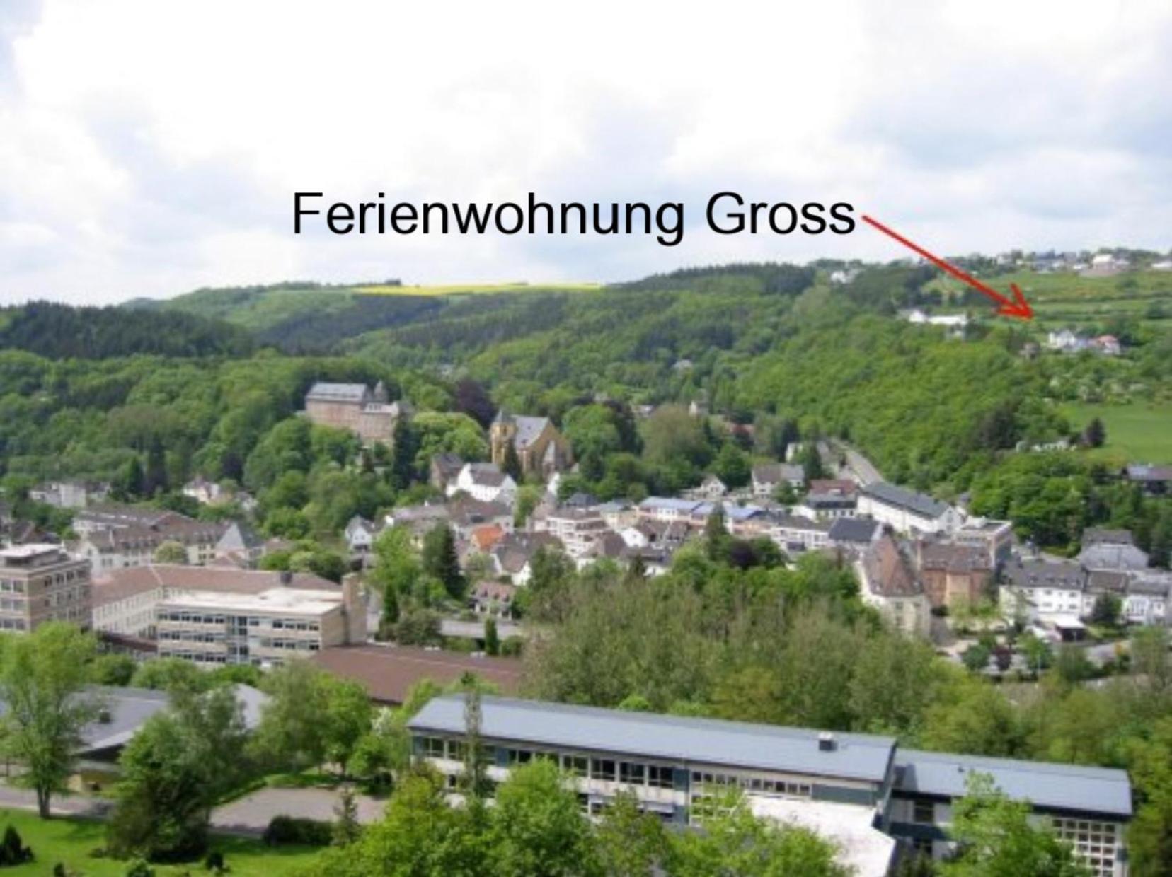 Ferienwohnung Gross A Schleiden Εξωτερικό φωτογραφία